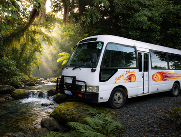 How Big Is the Daintree Rainforest? Size, Area & Facts